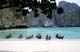 Photos de Ko Phi Phi - Thaïlande