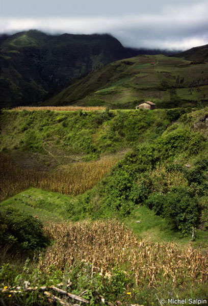 Photos of South-America, photos d'Amérique du Sud : Colombie (Colombia), Equateur (Ecuador), Perou (Peru)